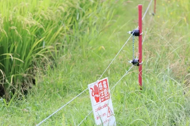 害獣対策に「電気ショック」は有効?仕組みと注意点をプロが解説