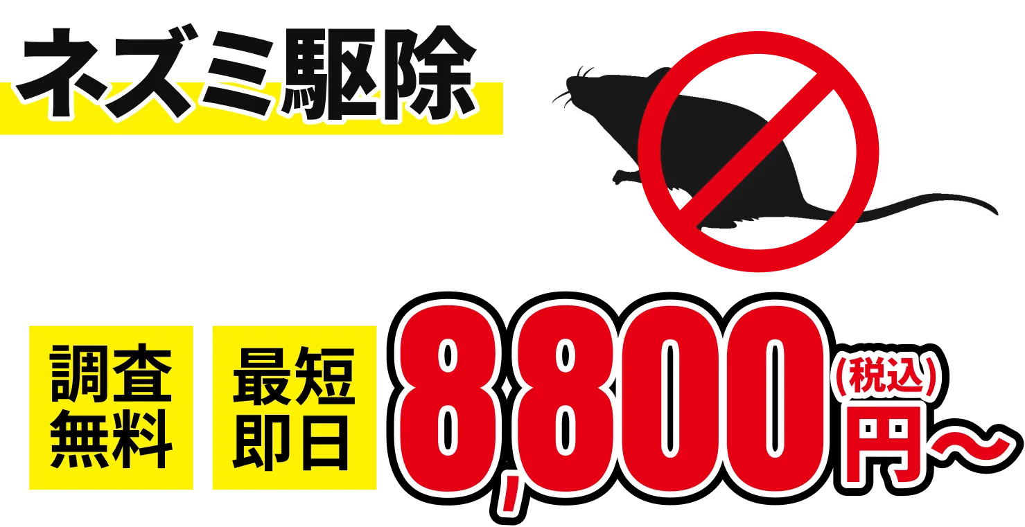 ネズミの害獣駆除