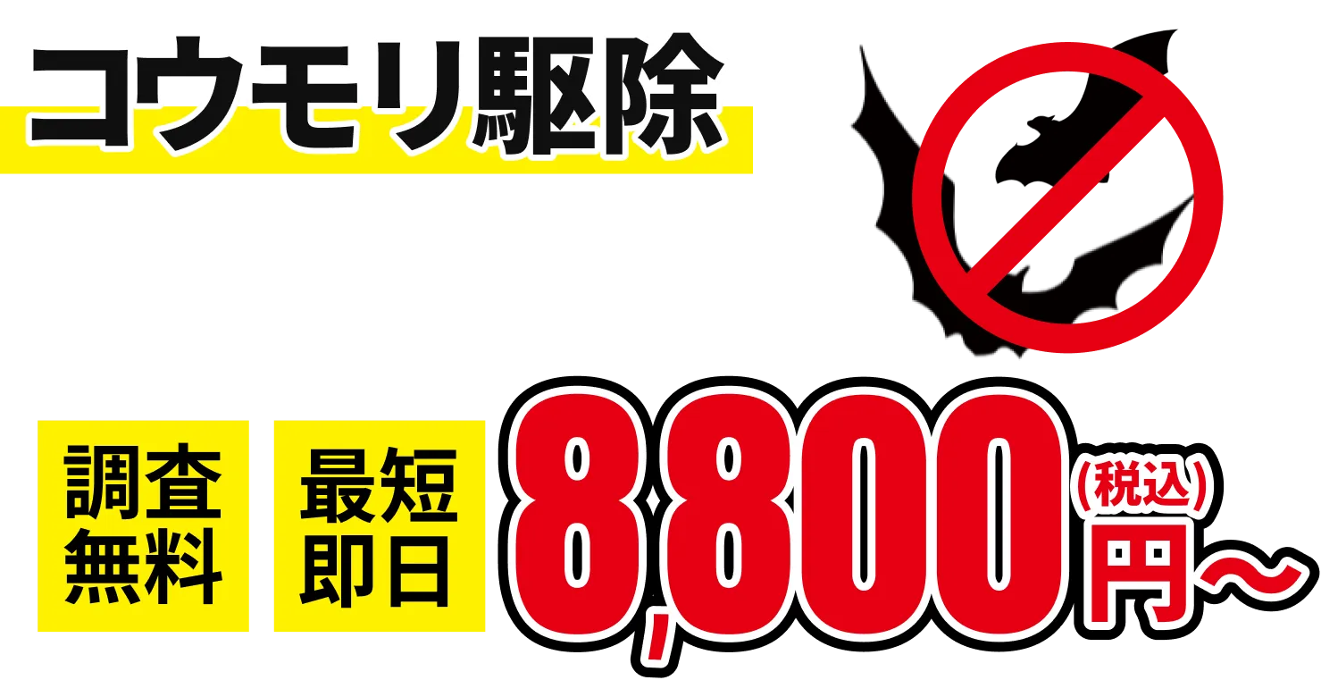 コウモリの害獣駆除