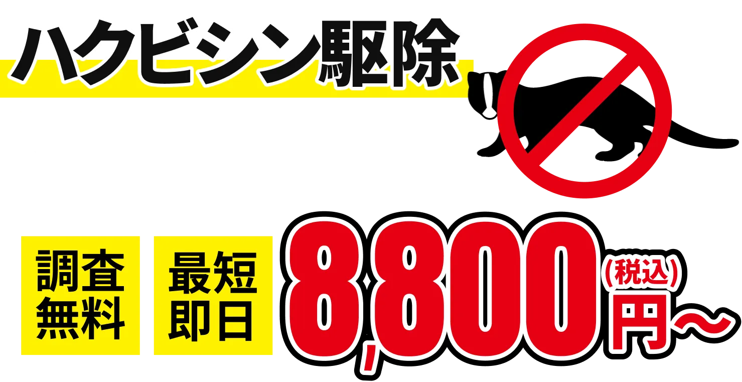 ハクビシンの害獣駆除