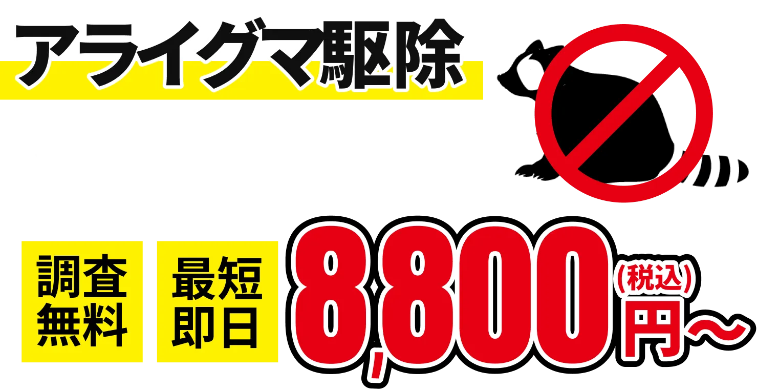アライグマの害獣駆除